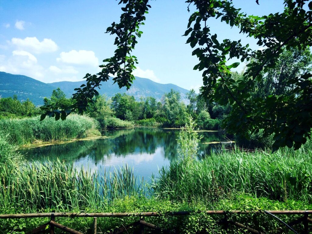 pureyoga, odaka yoga, Marina Caputo, Lago Iseo, Sebino, Franciacorta