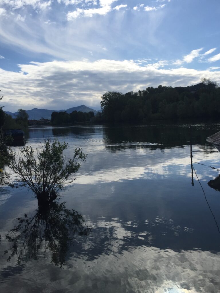 pureyoga, odaka yoga, Marina Caputo, Lago Iseo, Sebino, Franciacorta