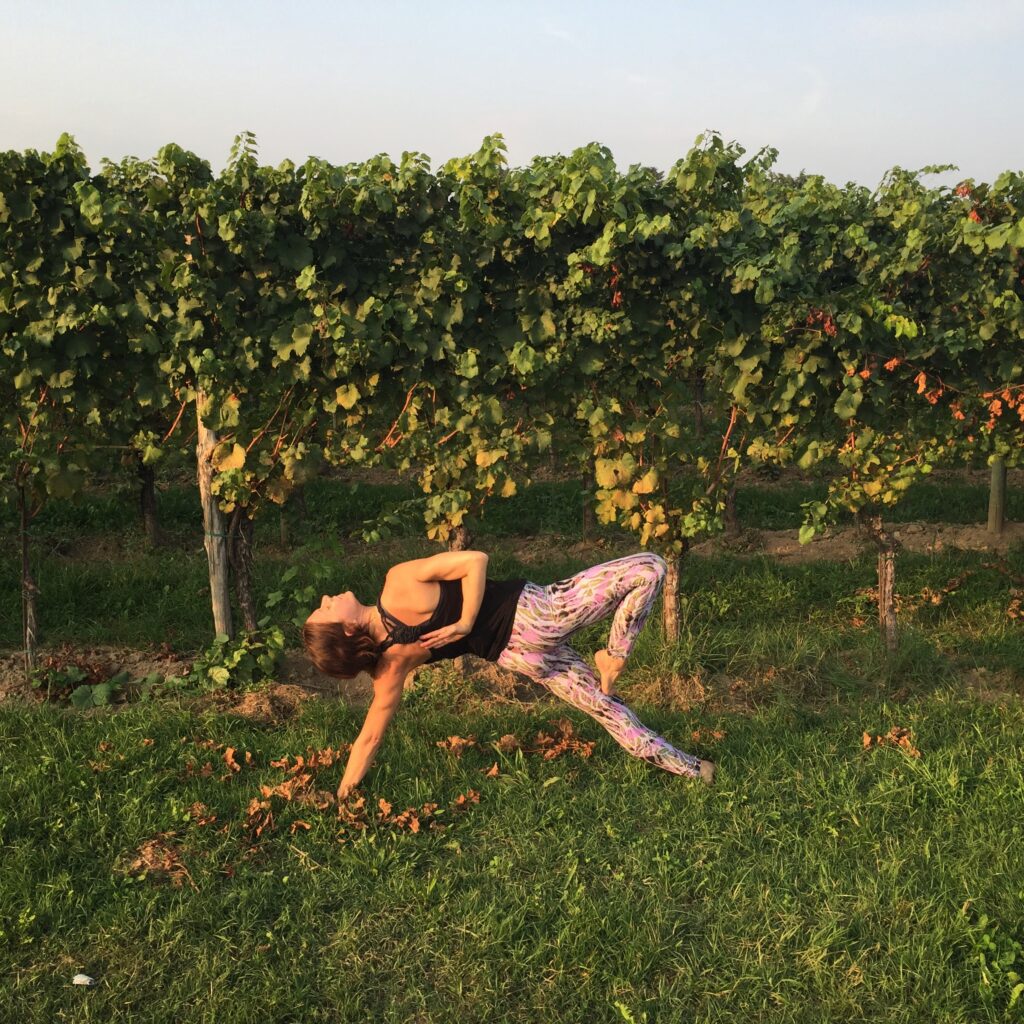 pureyoga, odaka yoga, lago d'Iseo e Franciacorta