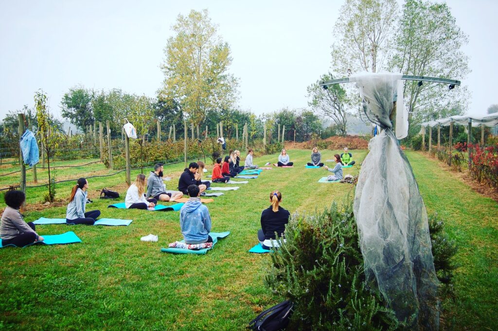 pureyoga, odaka yoga, lago d'Iseo e Franciacorta