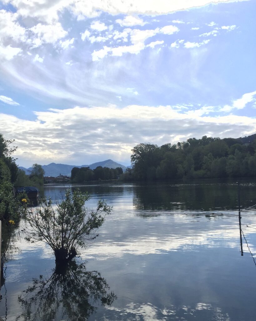 pureyoga, odaka yoga, lago d'Iseo e Franciacorta