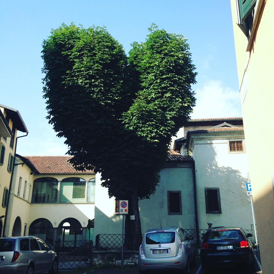 pureyoga, odaka yoga, lago d'Iseo e Franciacorta